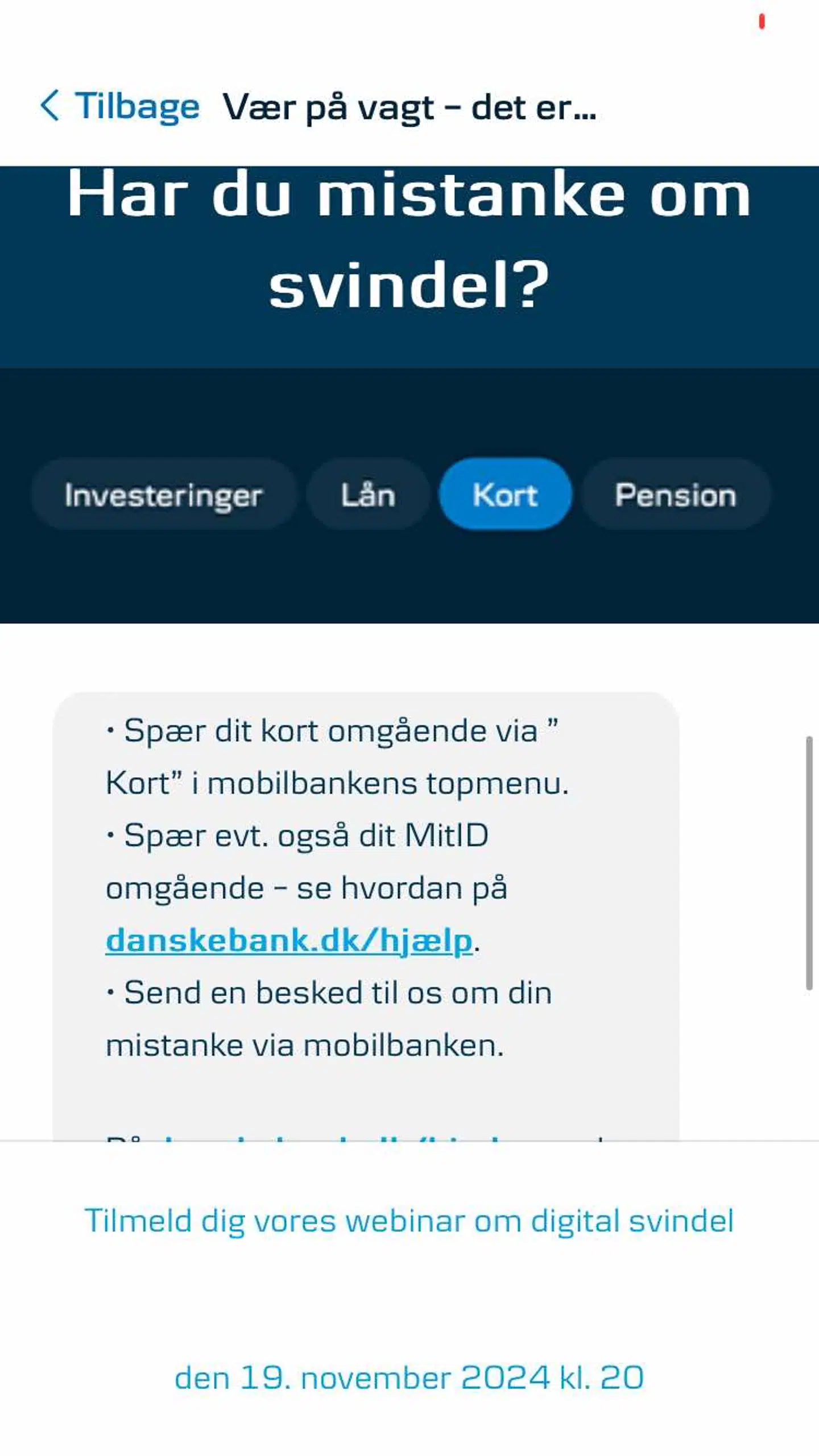 Danske Bank advarer mod, at vi snart går ind i højsæsonen for internetsvindel.