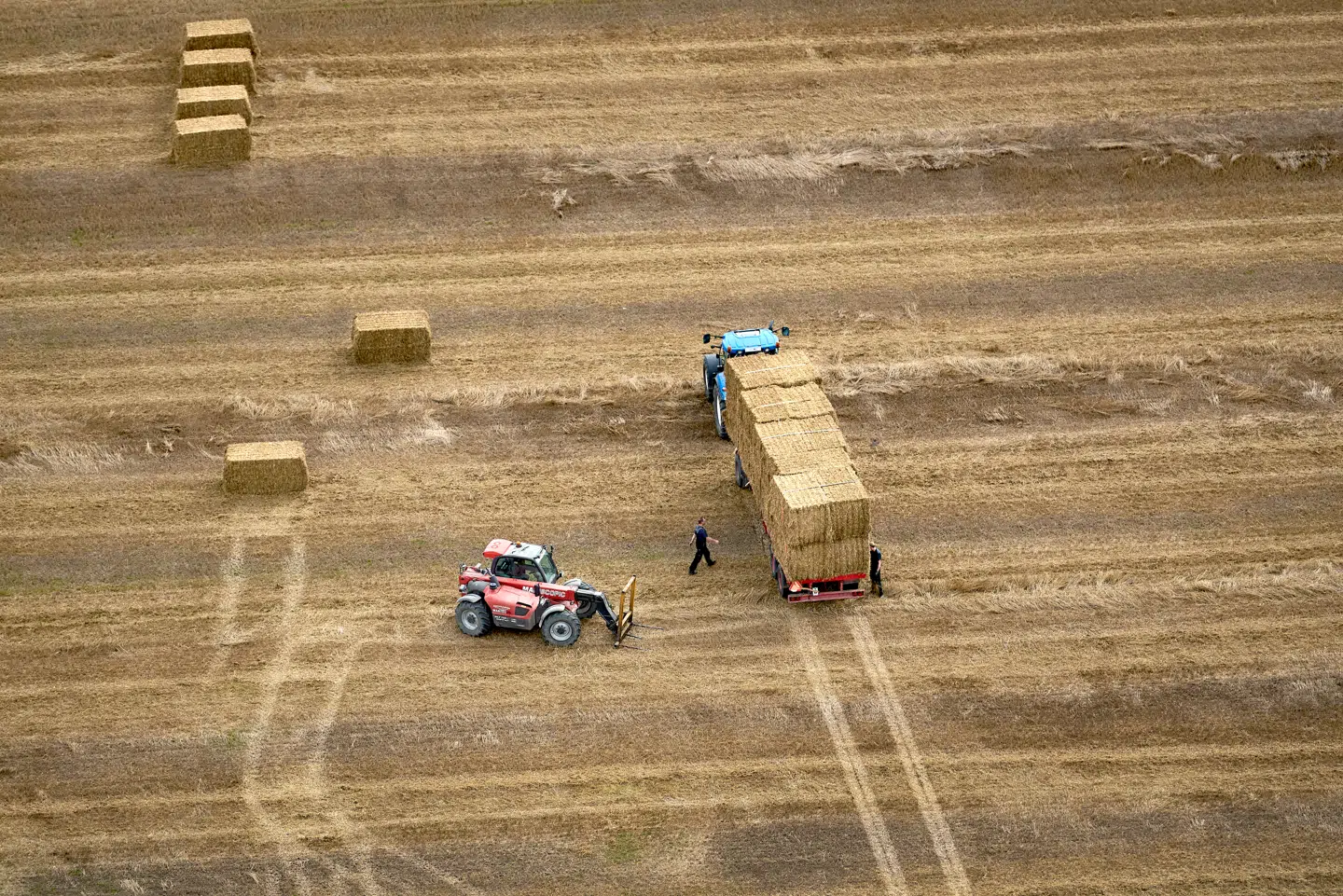 Venstre havde frygtet at blive kørt over af klimakrav til landbruget. Nu er der indgået en aftale, og partiets eget landbrugsbagland reagerer med lettelse i stedet for vrede og opstand.