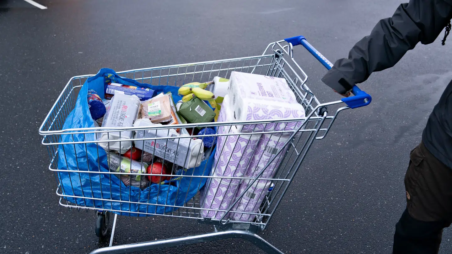 Dagligvarekæderne har indledt en vild jule-priskrig.