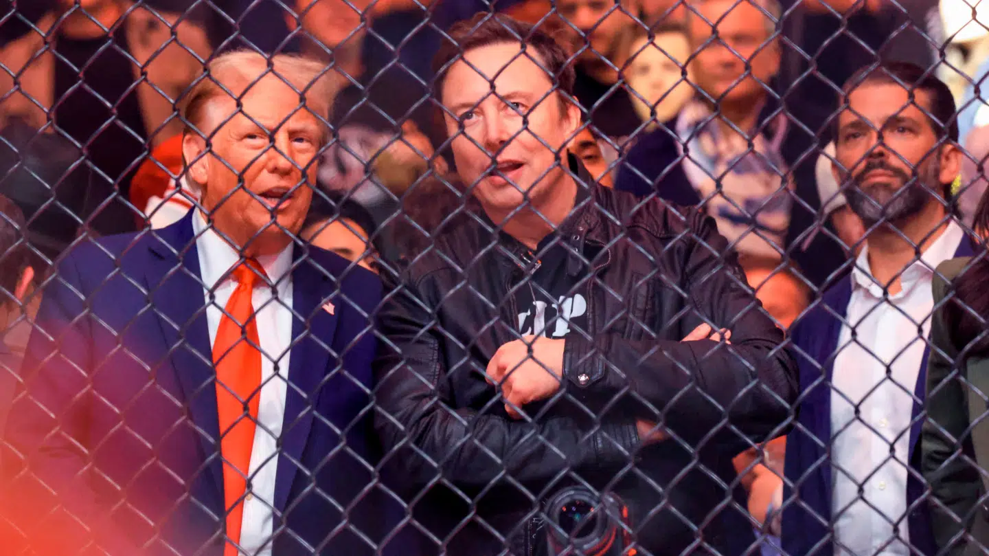 Donald Trump (tv.) var i weekenden til UFC-stævne med blandt andre Elon Musk og ældstesøn Donald trump Jr. (th.).