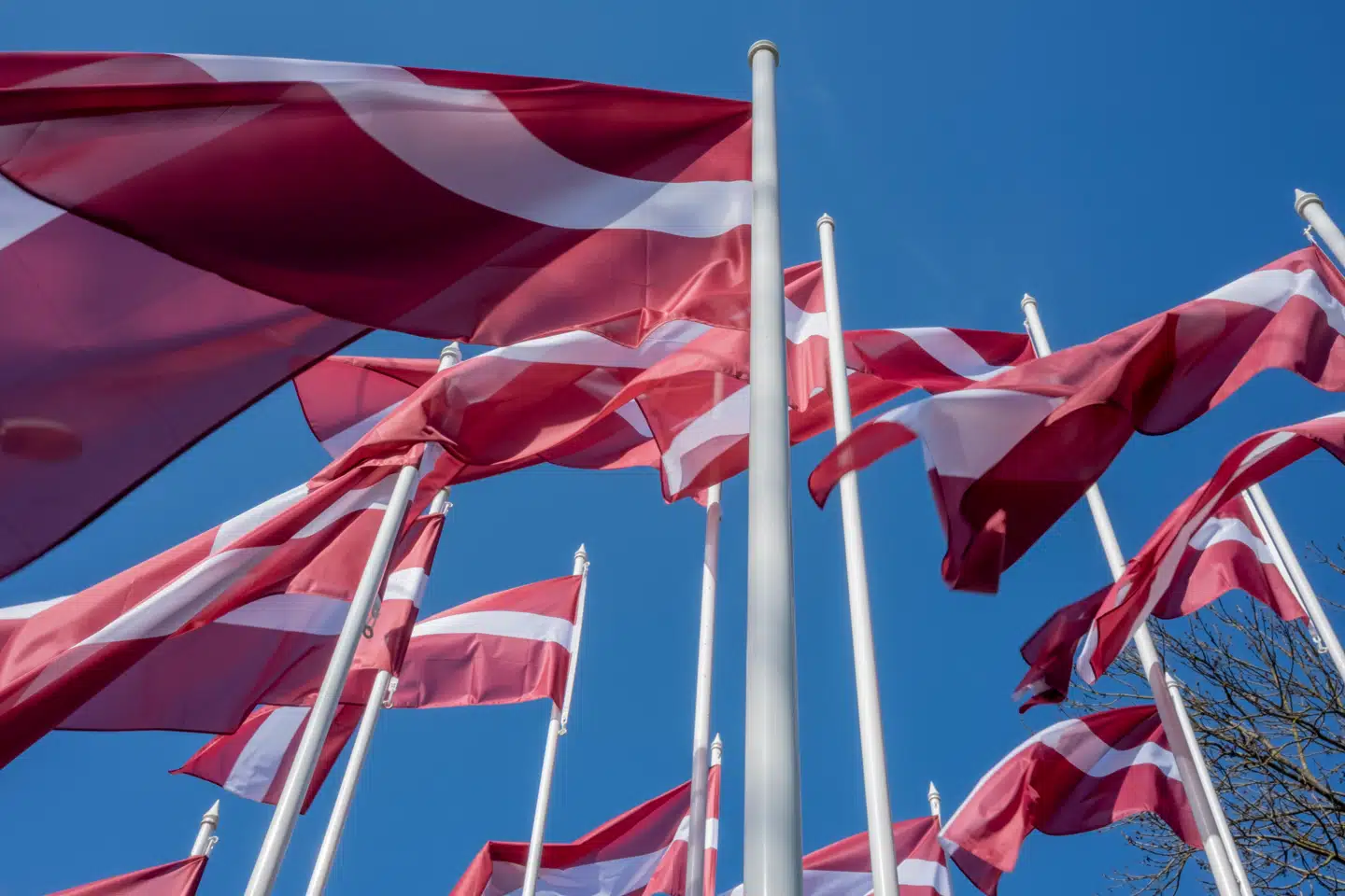 Når du deltager i dagens quiz, er du samtidig med i lodtrækningen om en præmie.