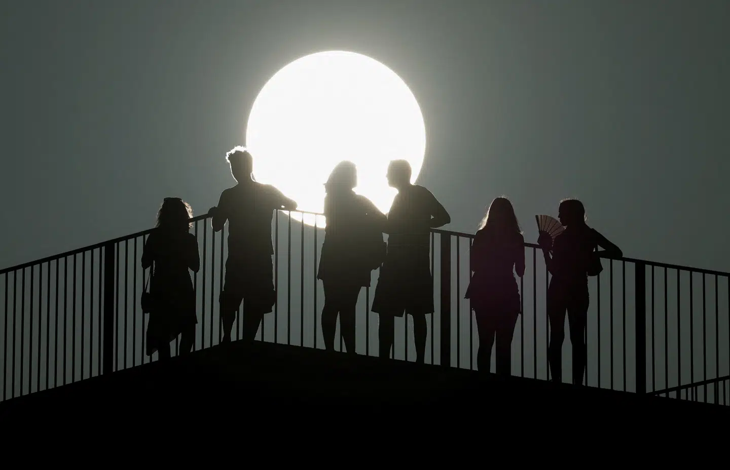 Hedebølger kan føre til et stort antal dødsfald. Danmark har også været ramt, og der vil komme endnu flere hedebølger i fremtiden.