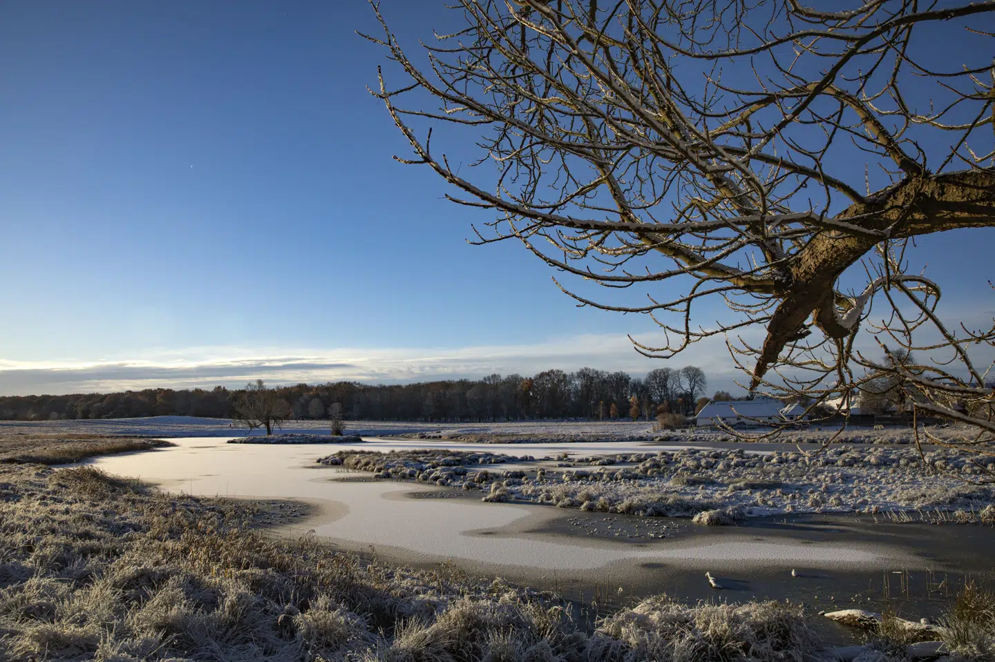 Der var frost i Danmark i sidste uge, men nu har mildere temperaturer vist sig. (Arkivfoto).