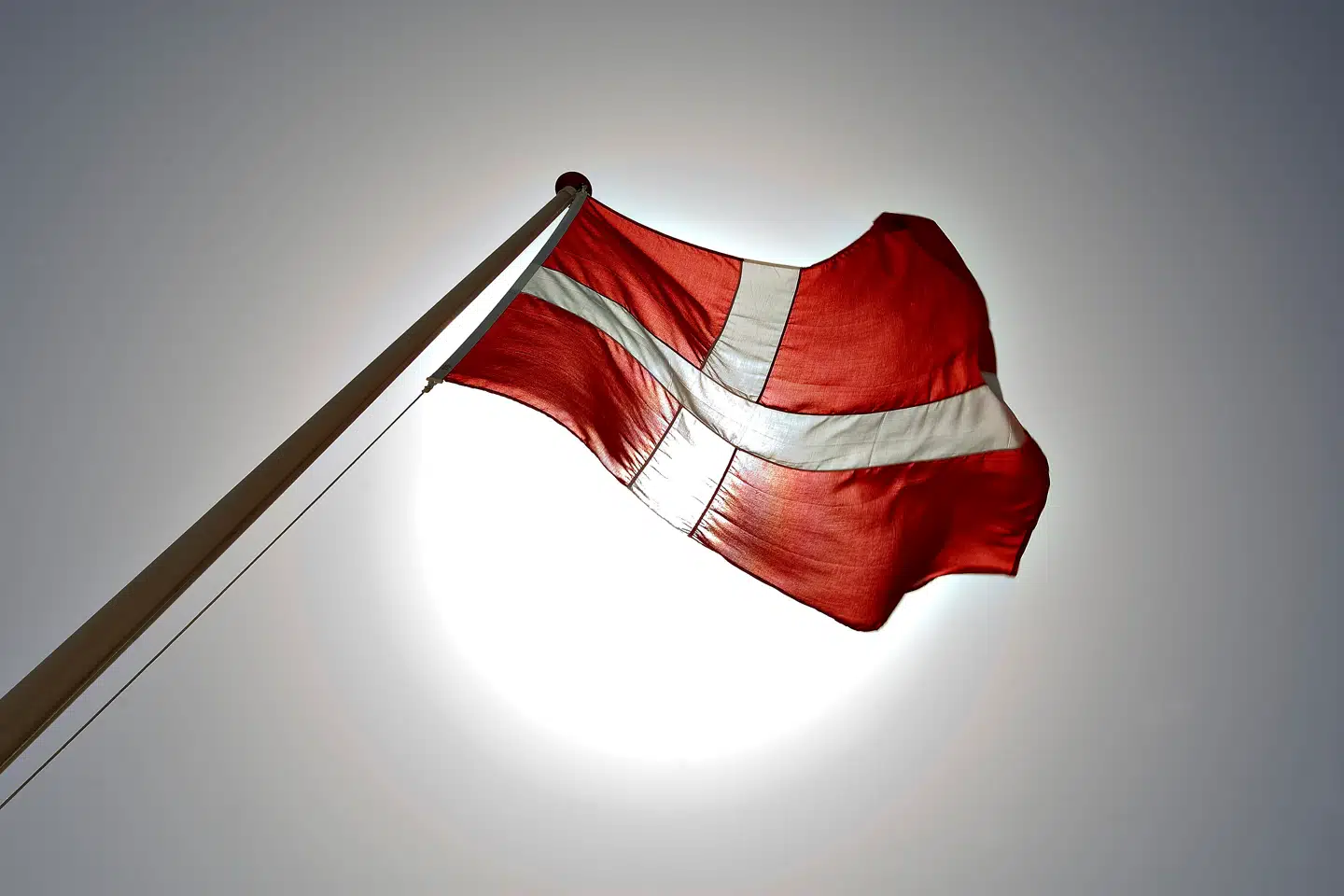 Regeringens flaglov lugter langt væk af, at regeringen gerne vil føre udenrigspolitik i din kolonihave, skriver Malika B. Rosenskjold.