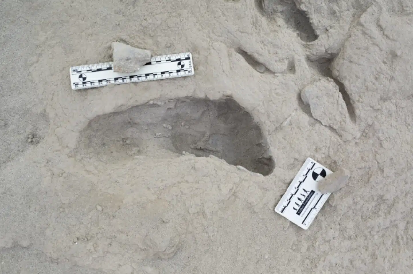 Foto: Kevin G. Hatala