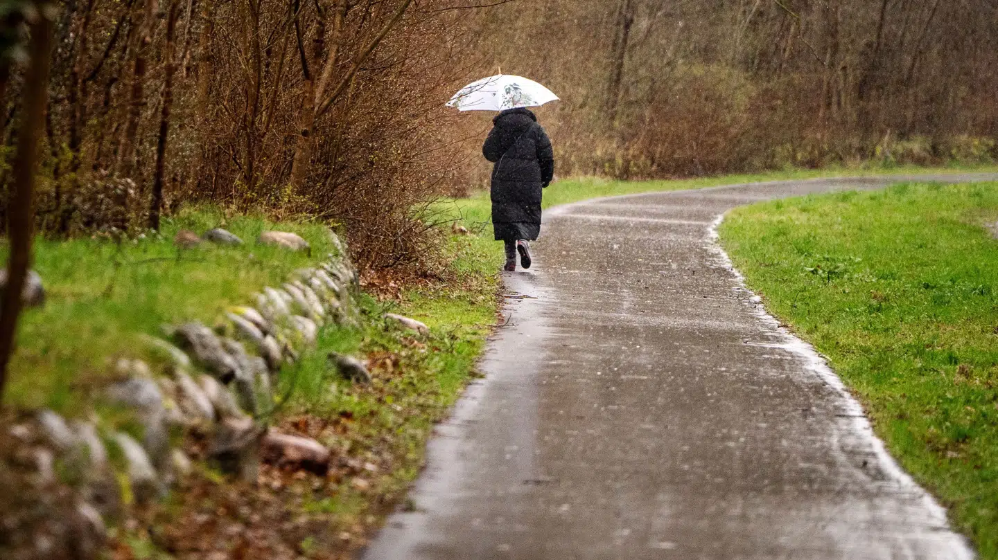 Torsdag er præget af regn. Det ventes at klare op i løbet af dagen. Jyderne kan få tørvejr i løbet af formiddagen, hvor sjællænderne må vente til ud på eftermiddagen.