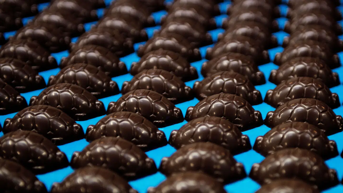 Arkivfoto af kæmpeskildpadder fra Toms. Snart lukker fabrikken i Ballerup, og det kommer til at koste mange jobbet.