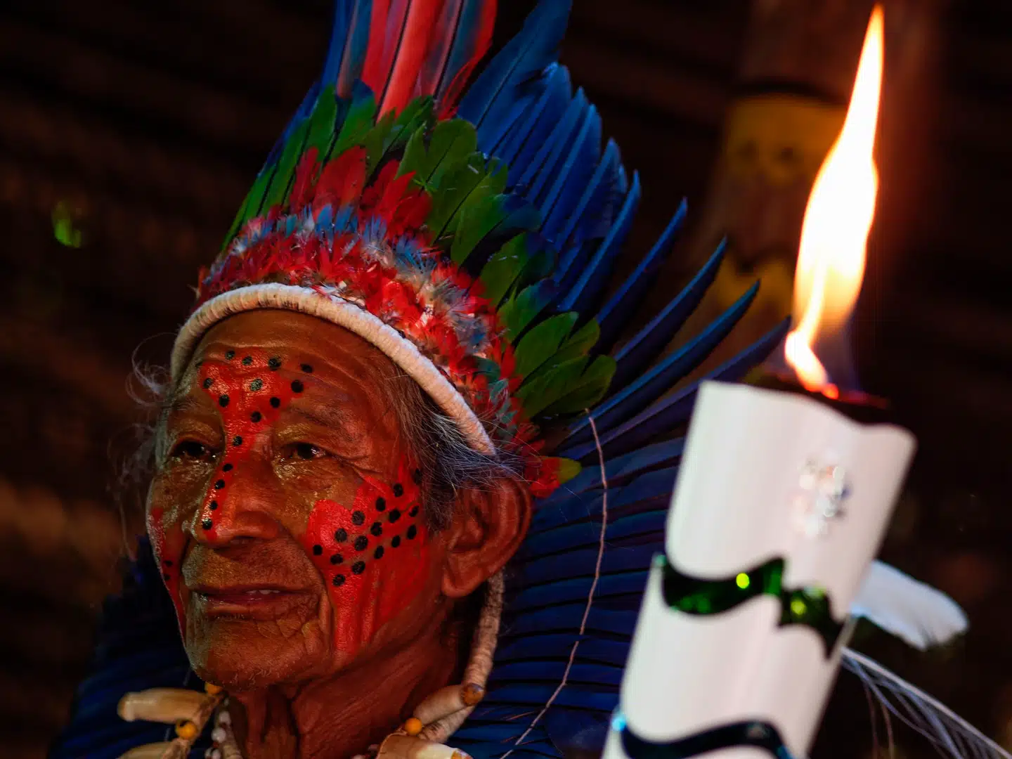 »I en pause greb jeg derfor lejligheden til at spørge Rosa, om han selv havde overvejet at inddrage oprindelige folks shamanistiske traditioner i sin forskning,« skriver Emilia Van Hauen i denne kommentar.
