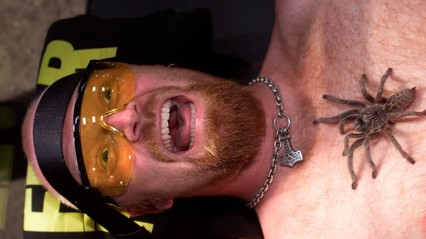 Jens Romundstad da han i 2002 var vært på TV3-programmet 'Fear Factor'.