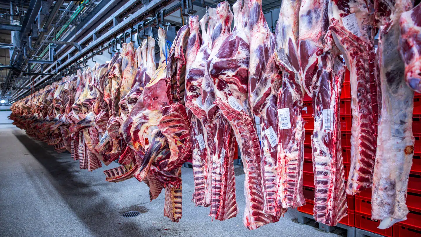 Der er udskiftning på formandsposten i bestyrelsen i slagterigiganten Danish Crown.