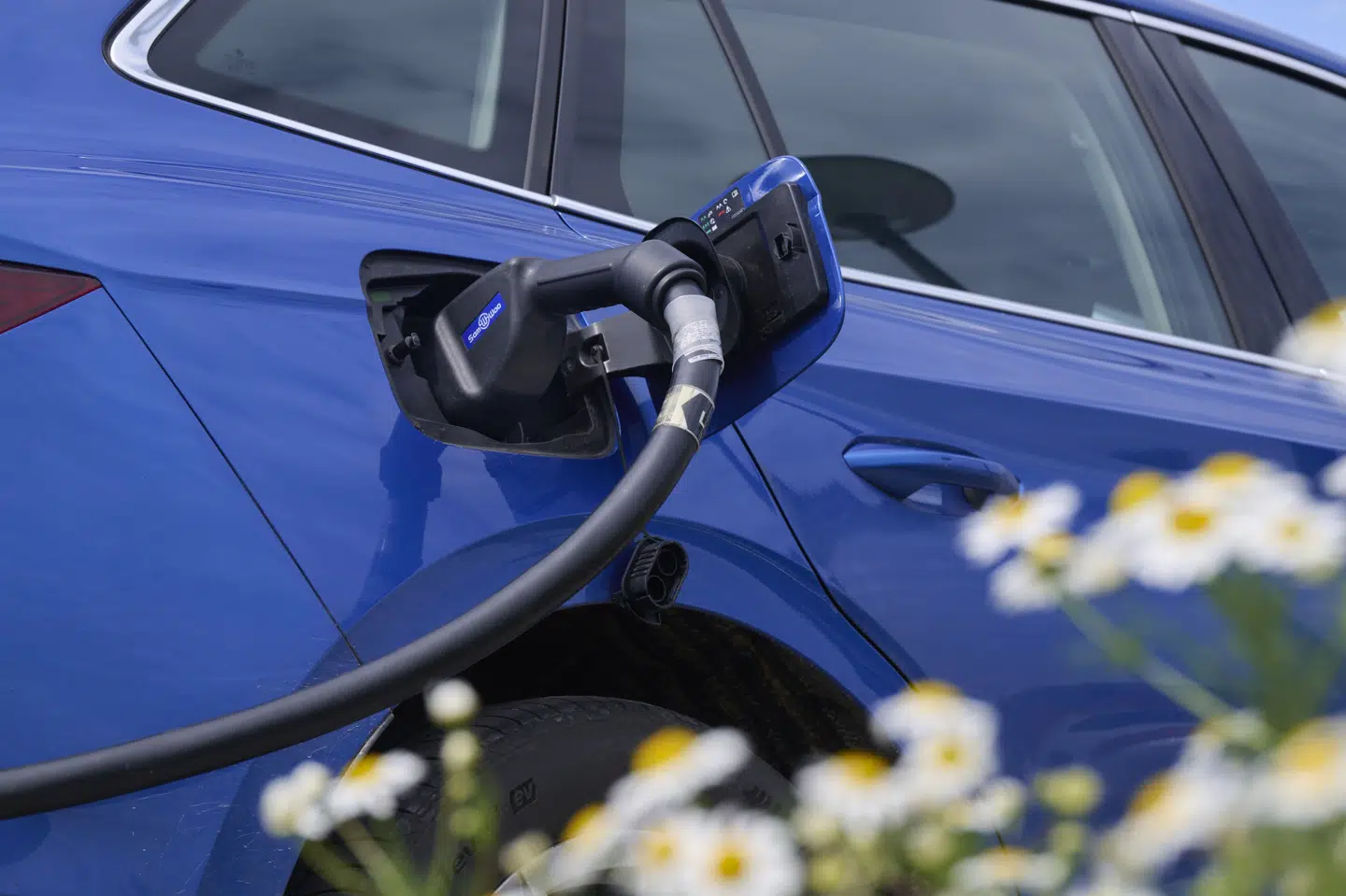 Salget af elbiler i 2024 overstiger antallet af benzin- og dieselbiler, men der er stadig flest konventionelle biler på de danske veje. (Arkivfoto).
