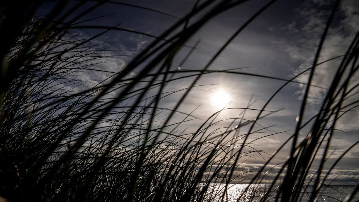 Arkivfoto: Torsdag vil ifølge DMI byde på »et kig til solen«.