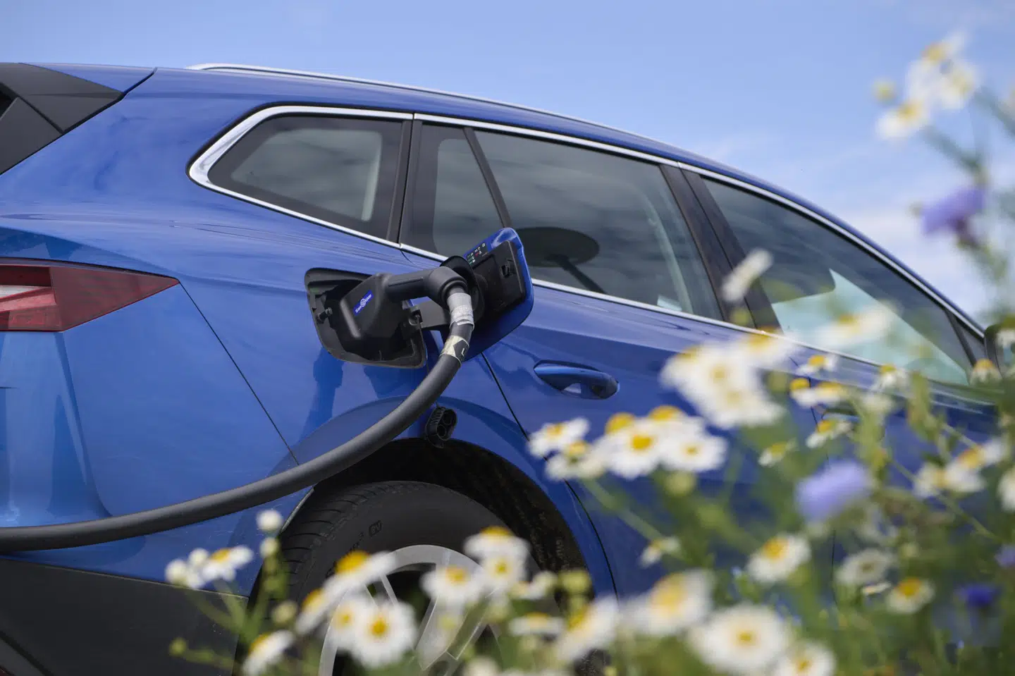 Der er i dag 350.000 eldrevne biler i Danmark, skriver Berlingske. Det svarer til 11 procent af vognparken. (Arkivfoto).