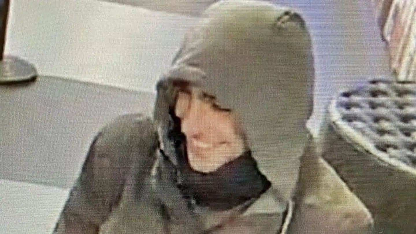 Dette billede kan vise sig at være et vigtigt spor for politiet, vurderer ekspert.