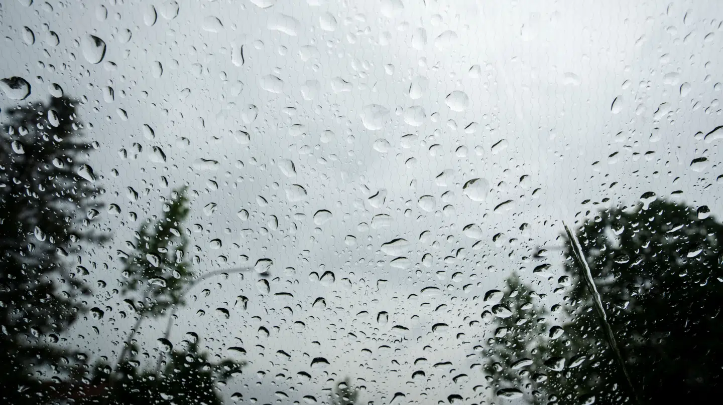 En grå søndag venter.