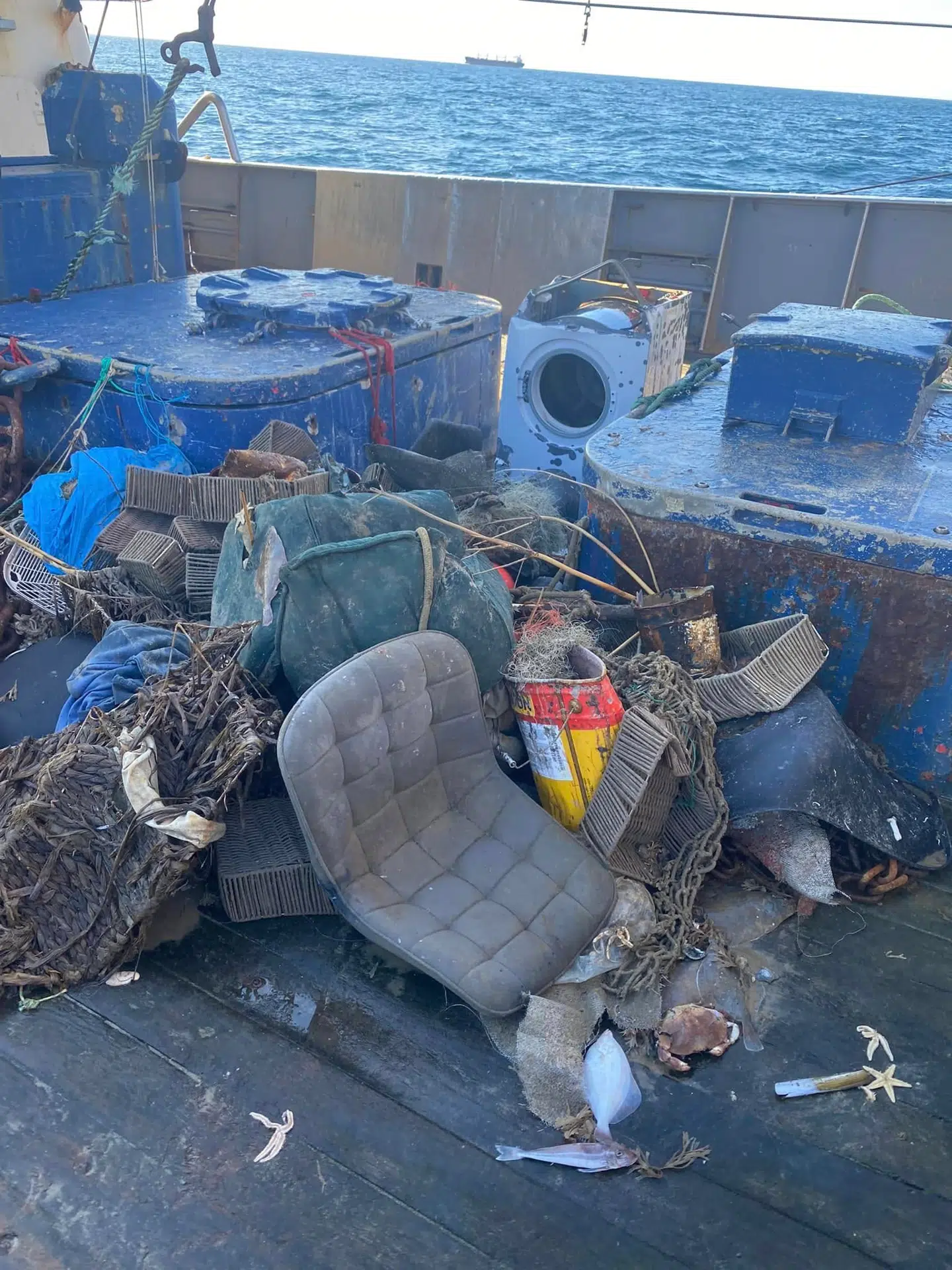 Fiskeren René hev for nylig en blandet landhandel af skrald op fra sin båd.