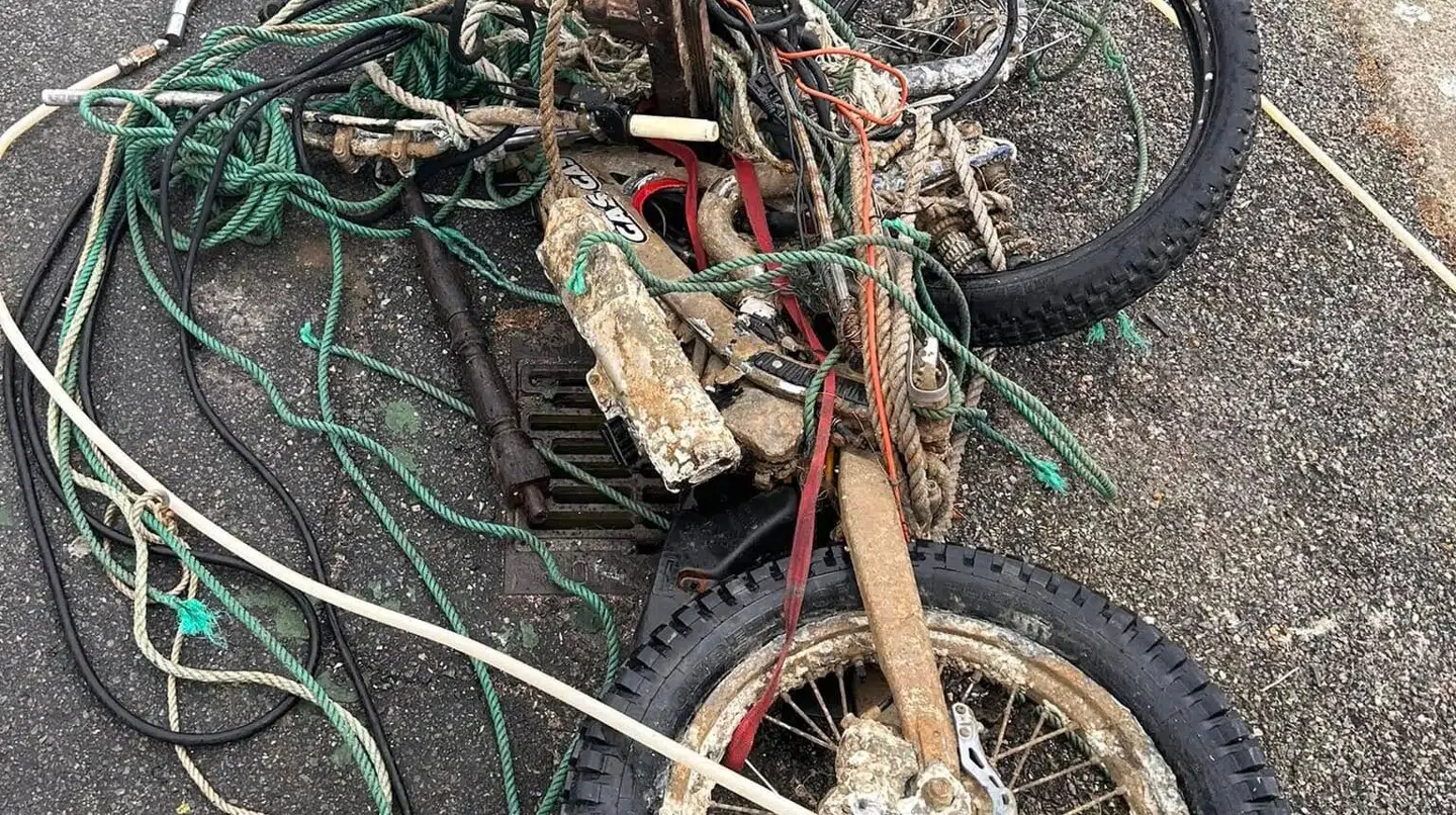 Det er ikke småting, der bliver hevet op i bådene.