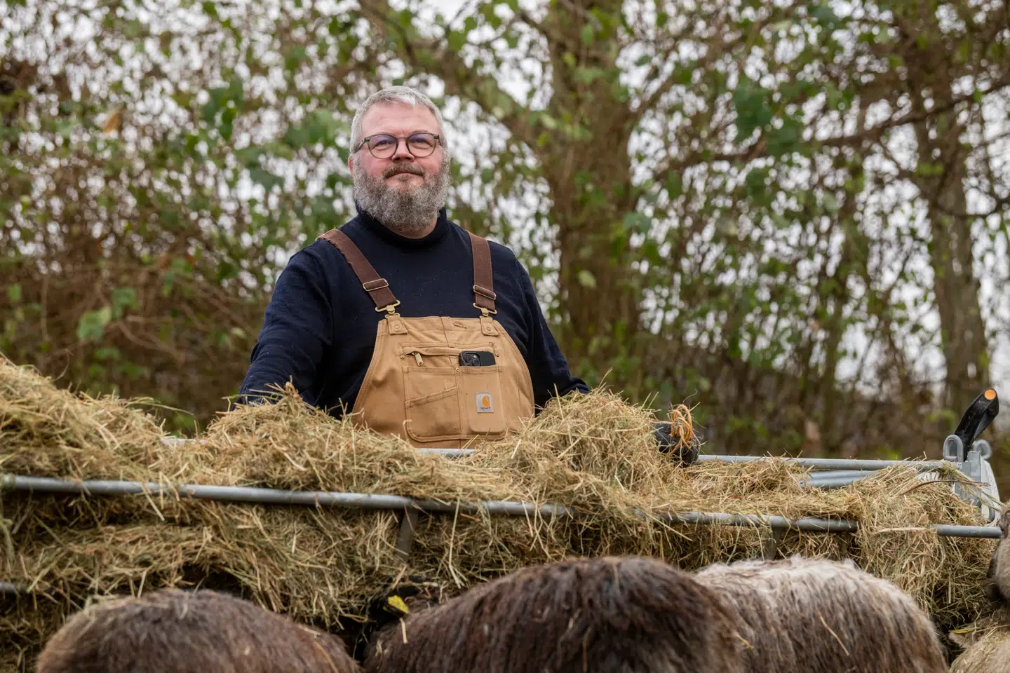 Kristian Ditlev Jensen oplever en ro i både krop og sind, når han er i nærheden af får. Det og meget andet skriver han om i essaysamlingen »Hyrde«, der netop er udkommet.