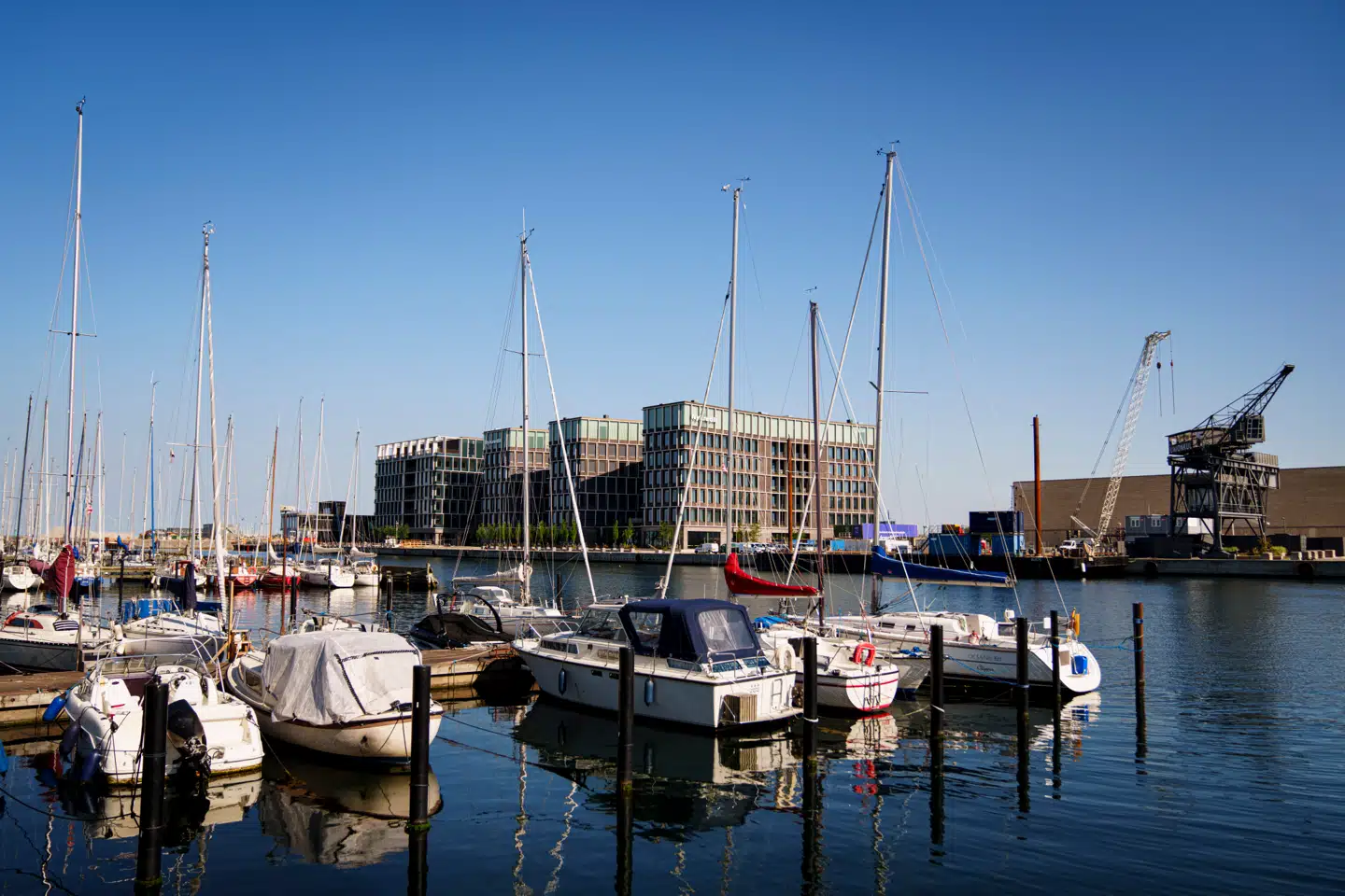Nykredits hovedsæde i Svanemøllehavnen i København i fuldt sollys.