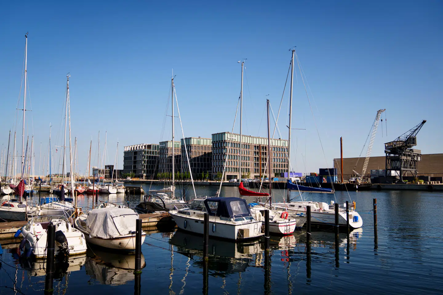 Nykredits hovedsæde i Svanemøllehavnen i København i fuldt sollys.