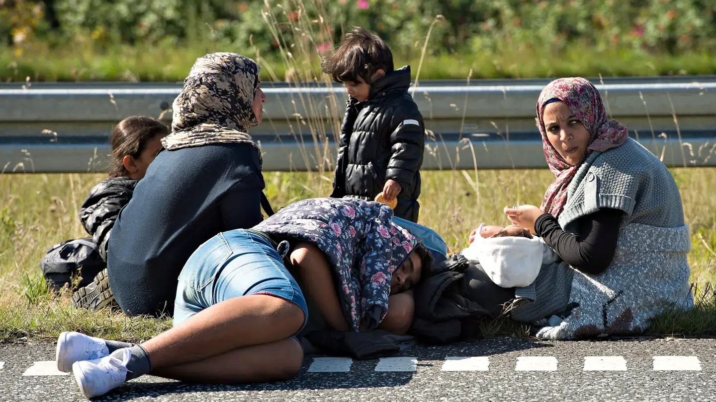 Flygtninge vandrer på motorvejen fra Padborg og nordpå. Omkring 300 flygtninge begyndte onsdag morgen at gå af motorvejen nordpå - hovedparten kommer fra Syrien.