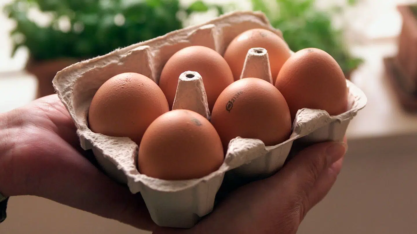 Danskerne har søgt mest efter tilbud på æg i 2024.