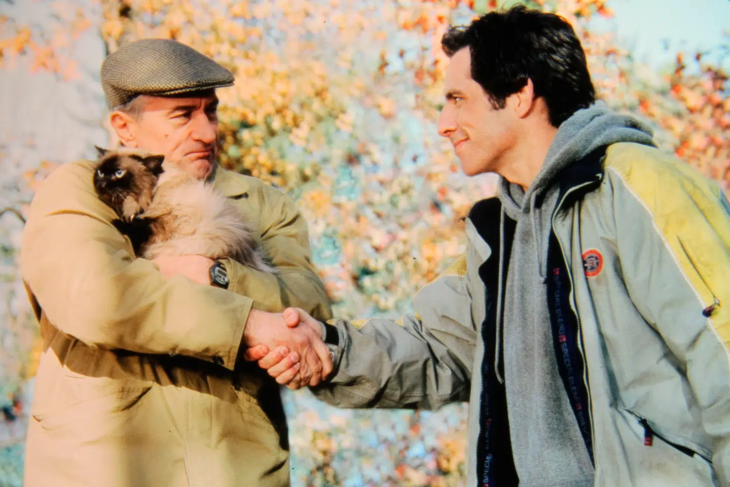 Den første film i serien »Meet the Parents« havde premiere i 2000. Robert De Niro og Ben Stiller spiller i filmen svigerfar og svigersøn.