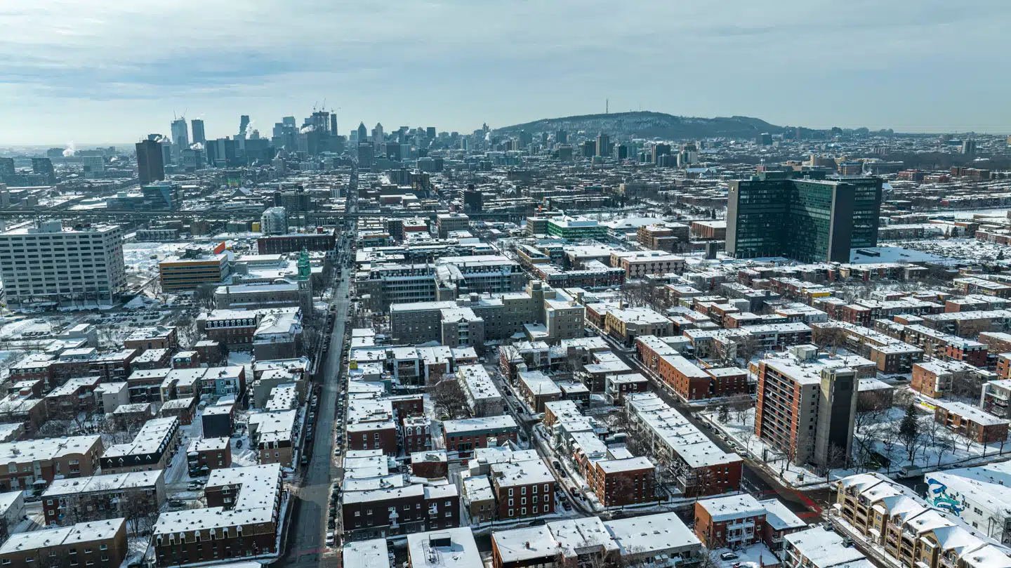 Det anslås, at 25 procent af børnene i Canadas storbyer vokser op i tosprogede hjem. Foto: Sebastien St-Jean, Scanpix