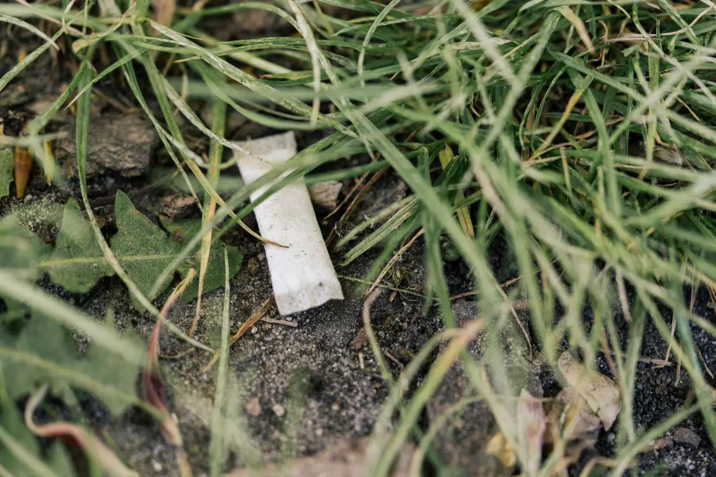 Det er ulovligt at sælge snus i Danmark, men nikotinposer er lovlige at købe - hvis man er over 18 år - da de ikke indeholder tobak, men kun nikotin.