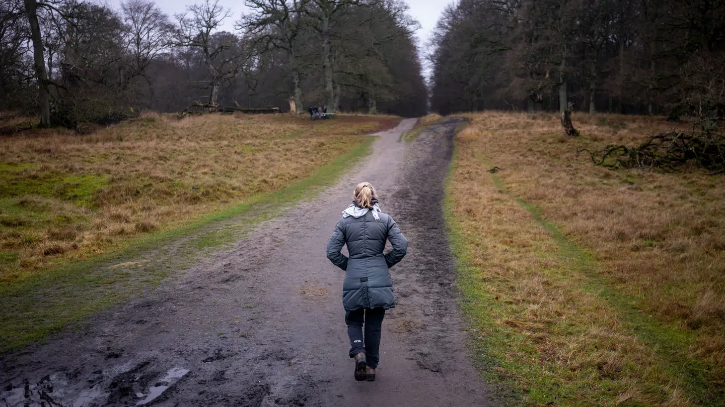 Juledag bliver en dag med gråvejr, men med ret høje temperaturer for årstiden. Så skal du ud og løbe, behøver du nok ikke hue og handsker.