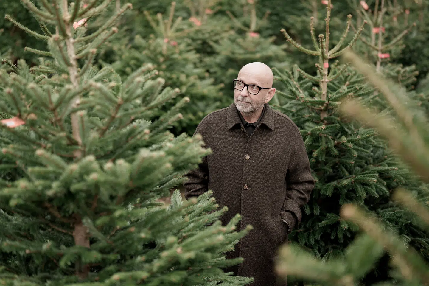 Flemming Møldrup har opdaget, at børn ofte kommer i klemme mellem to skilte forældre. Han råder andre til at følge nogle simple råd til at komme gennem julen.