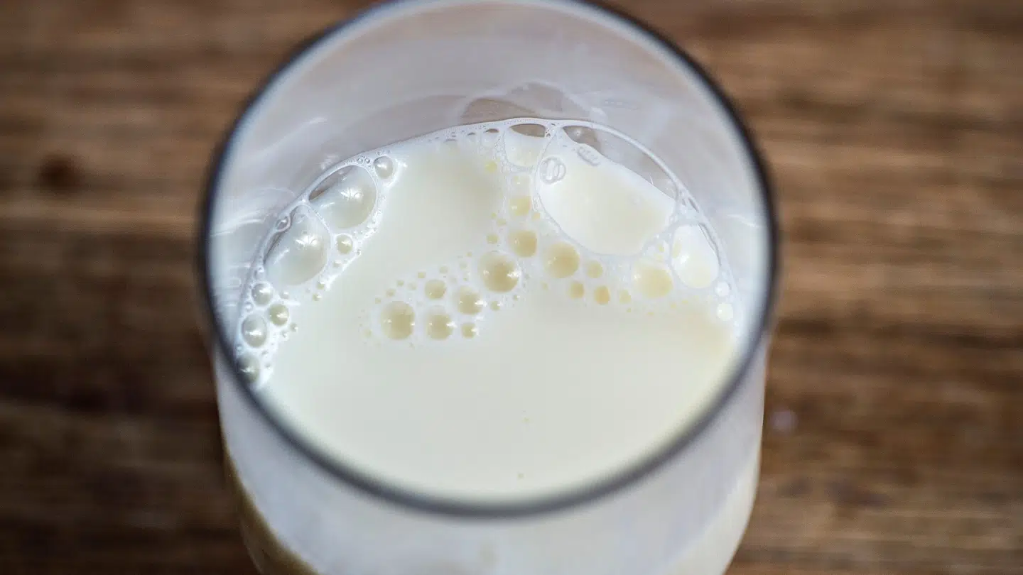 (ARKIV) Arla mælkeprodukter , her mælk i glas med mælkebobler den 20 februar 2017. Hvert år smider mejerierne millioner ton ostevalle ud. En gruppe forskere har udviklet en teknik, der i stedet omdanner overskudsproduktet til alkohol.. Det skriver Ritzau, onsdag den 7. februar 2018.. (Foto: Henning Bagger/Scanpix 2018)