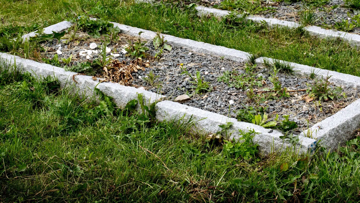 Frygten for krig har ført til, at de svenske myndigheder planlægger op mod en halv million gravpladser.