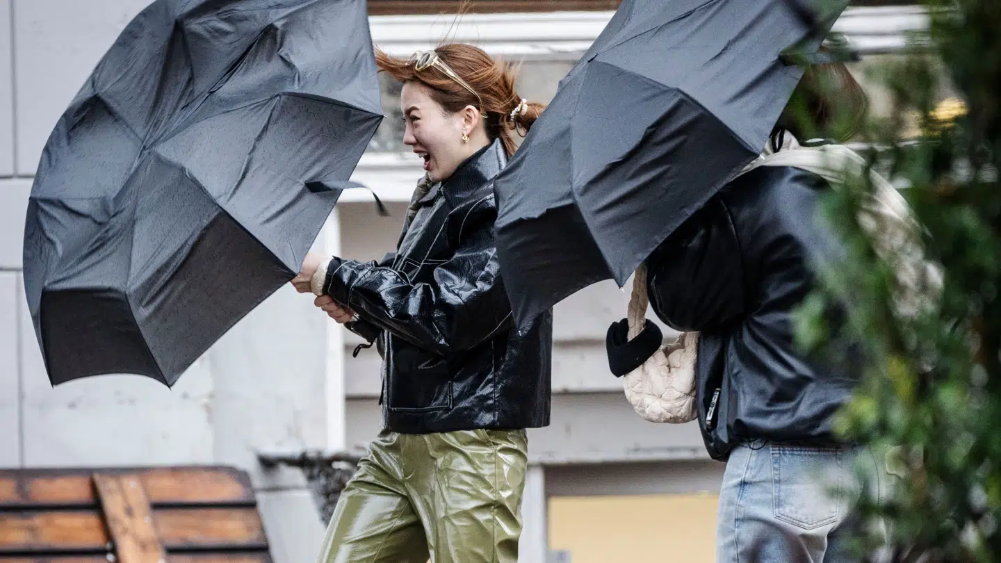 Arkivfoto fra da stormen Pia ramte Danmark sidste år i december.