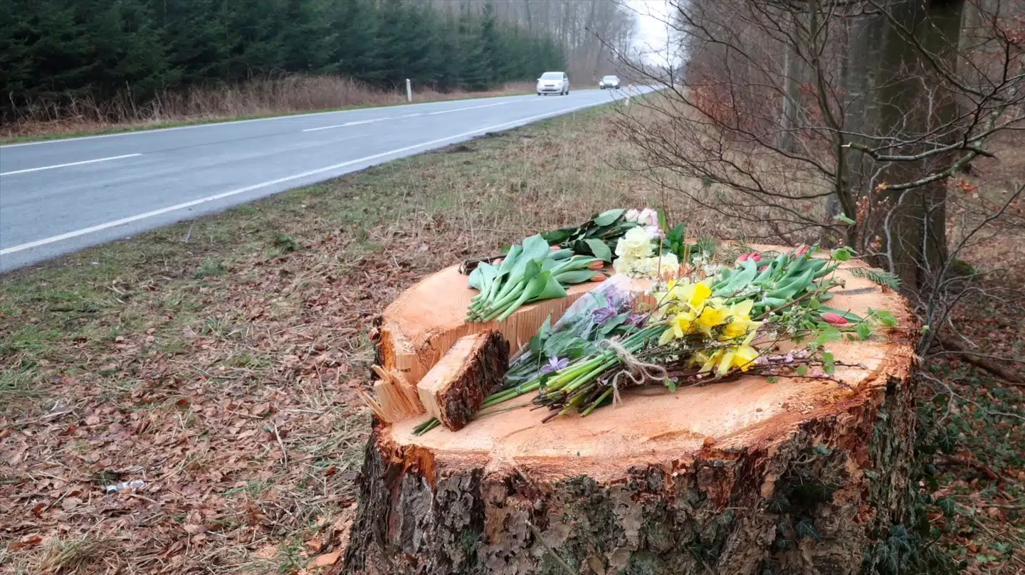 Gerningsstedet på Parnasvej udenfor Sorø, hvor en 55-årig mandlig bilist blev dræbt, da et træ faldt ned over hans bil natten til onsdag. Seks unge mænd er efterfølgende sigtet for manddrab.