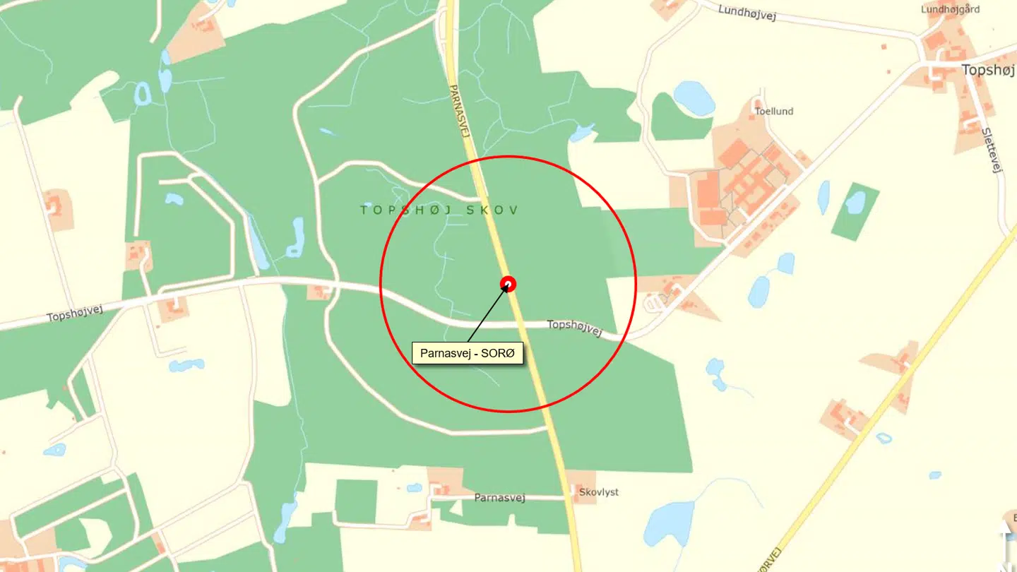 Det var her træet blev fældet ned over bilen.