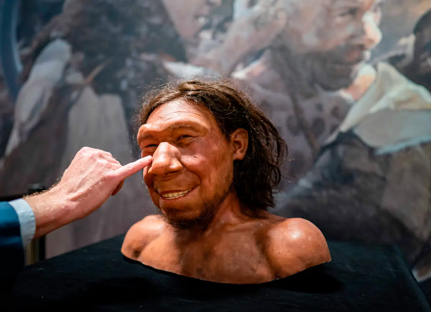 Der er grund til at smile ved synet af en rekonstrueret neandertaler som fyren her. For hvis vores forfædre ikke have fået børn med neandertalere for knap 50.000 år siden, ville vi næppe have været nær så overlevelsesdygtige.