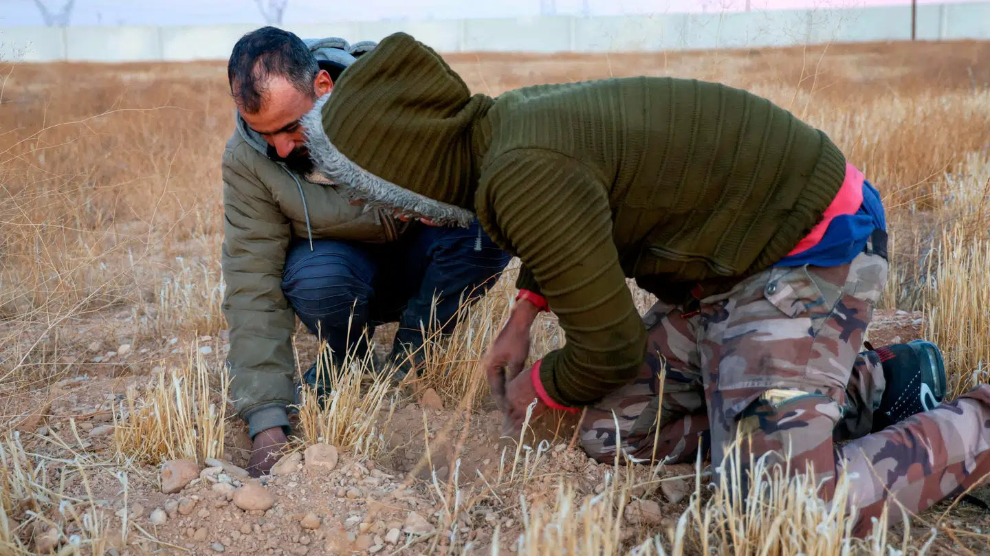 To personer søger efter massegraven i Al-Qutayfah.