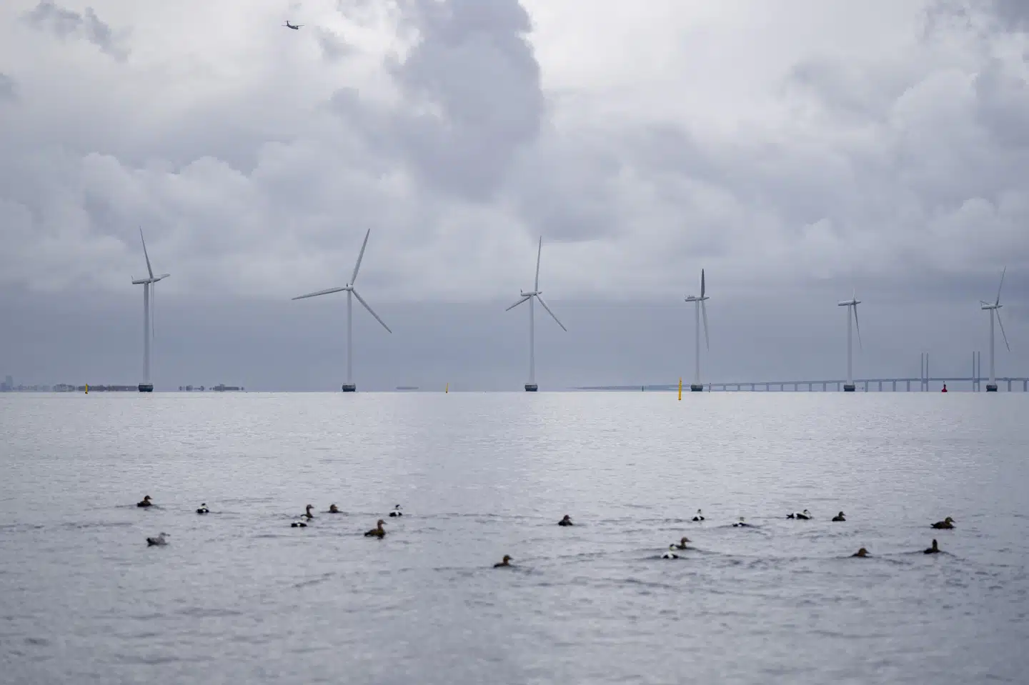 En havvindpark mage til denne på Middelgrunden ud for København vil inden for de kommende fem år skyde op i Jammerland Bugt syd for Kalundborg. (Arkivfoto).
