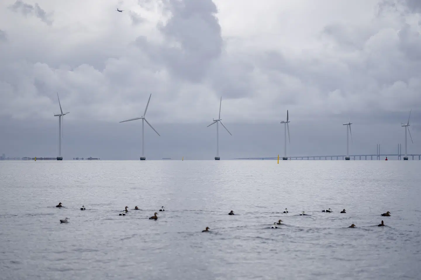 En havvindpark mage til denne på Middelgrunden ud for København vil inden for de kommende fem år skyde op i Jammerland Bugt syd for Kalundborg. (Arkivfoto).