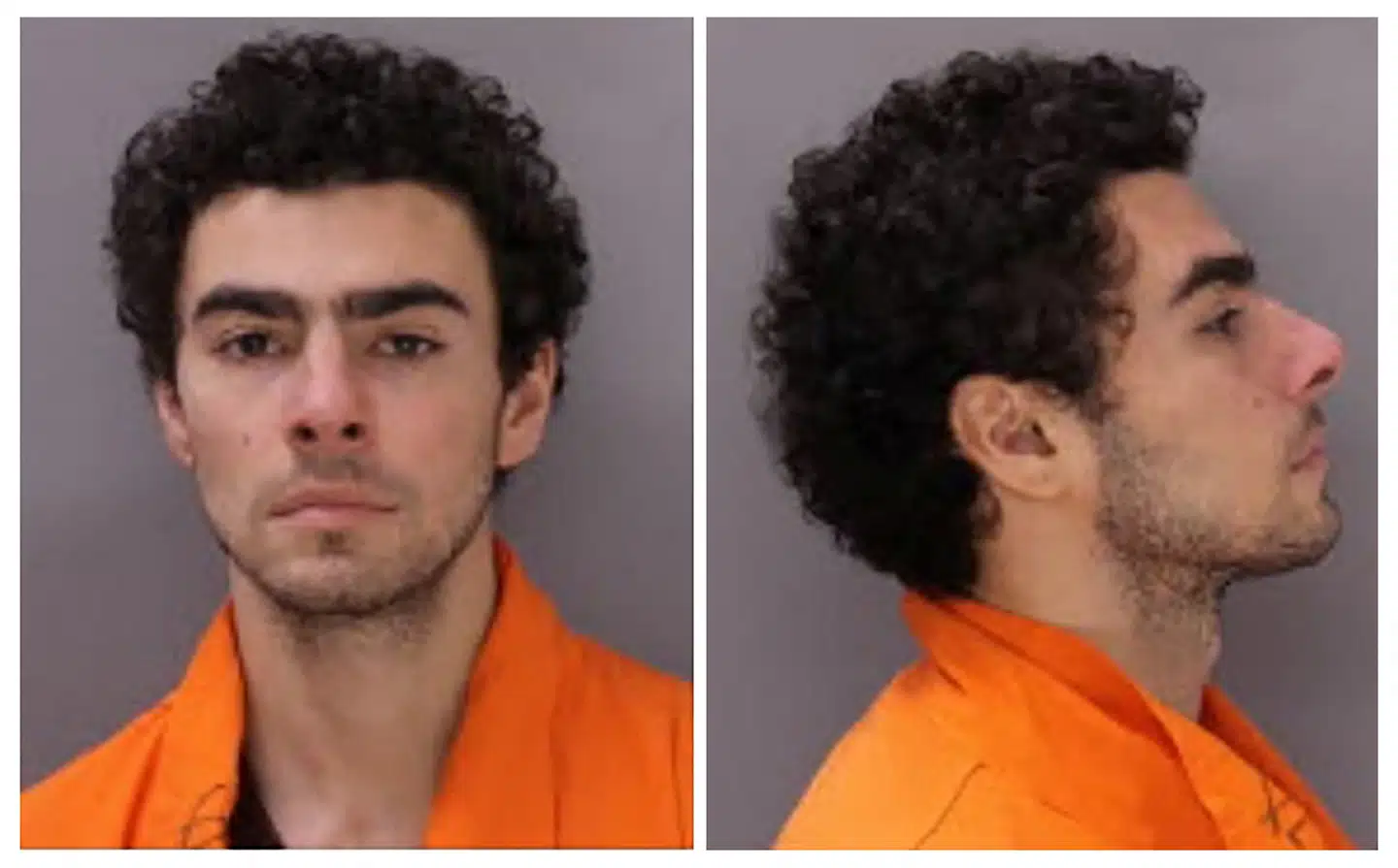 Luigi Mangione havde et manifest på sig, da han blev anholdt. Heraf fremgår det, at han ser sig selv som en bekæmper af en »snyltende og korrupt sundhedsforsikringsindustri«.