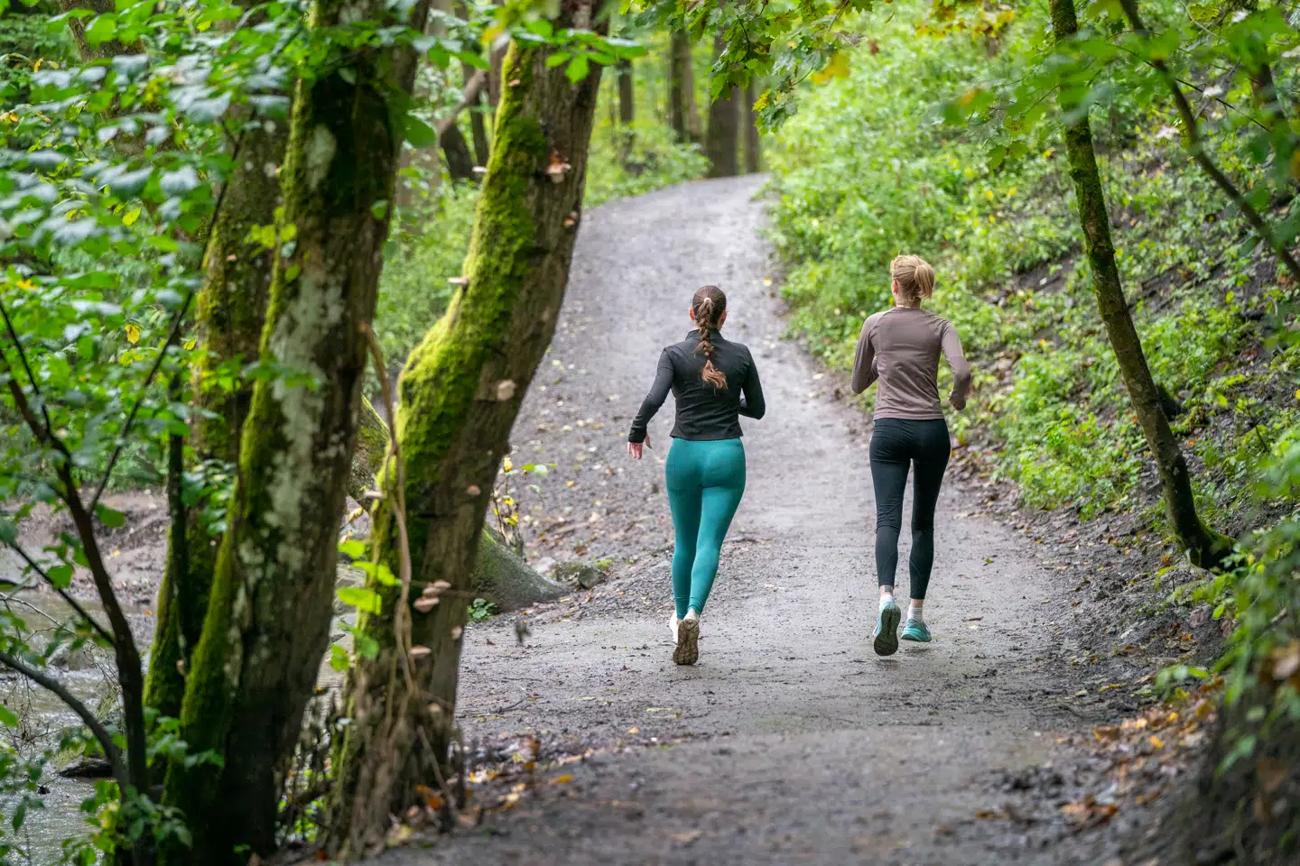 Motionens effekt på hjernen kan vare i op til 24 timer, tyder studiet på.