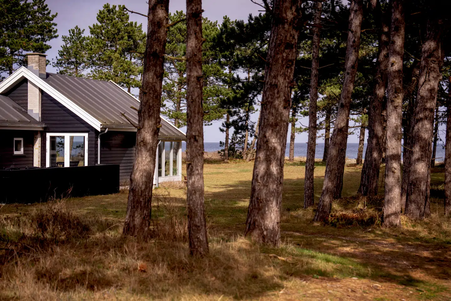 En læser ønsker at overdrage sin halvdel af sommerhuset til sin tidligere hustru og søger svar på, om det kan gøres skattefrit.