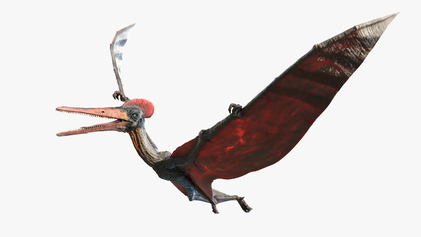 Pterodactylus. Illustration: Sebastian Kaulitzki, Adobe Stock