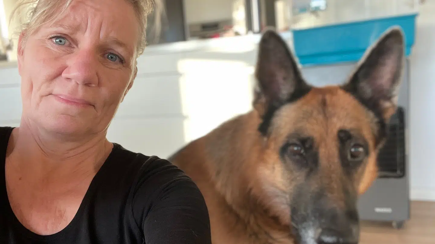 Hunden Abbi fik det pludselig dårligt, Brit mistænker, at julekalenderen var skyldig.