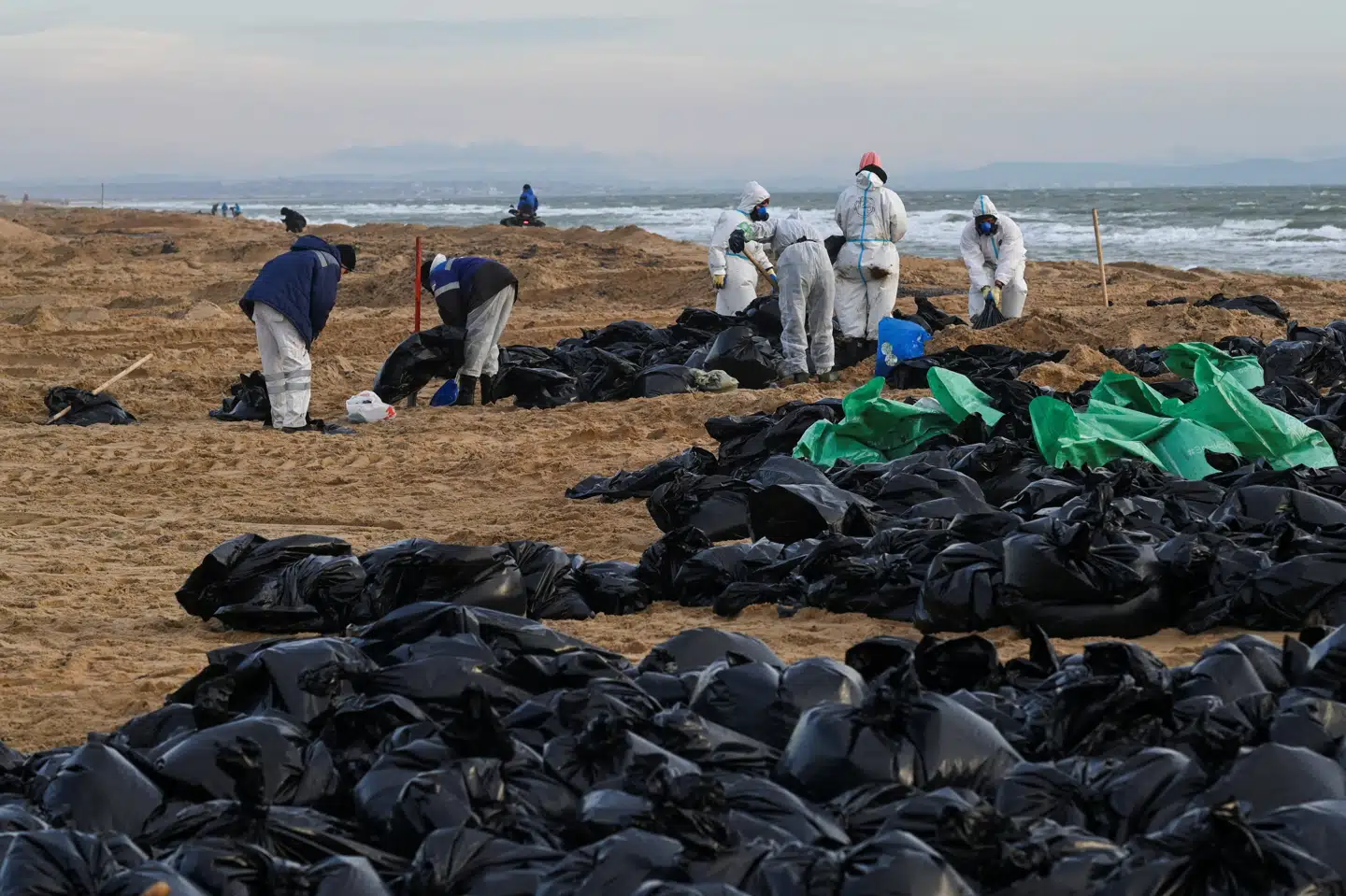 Det skønnes ifølge Tass, at omkring 130 kilometer af kysten i Krasnodar skal rengøres for olierester.