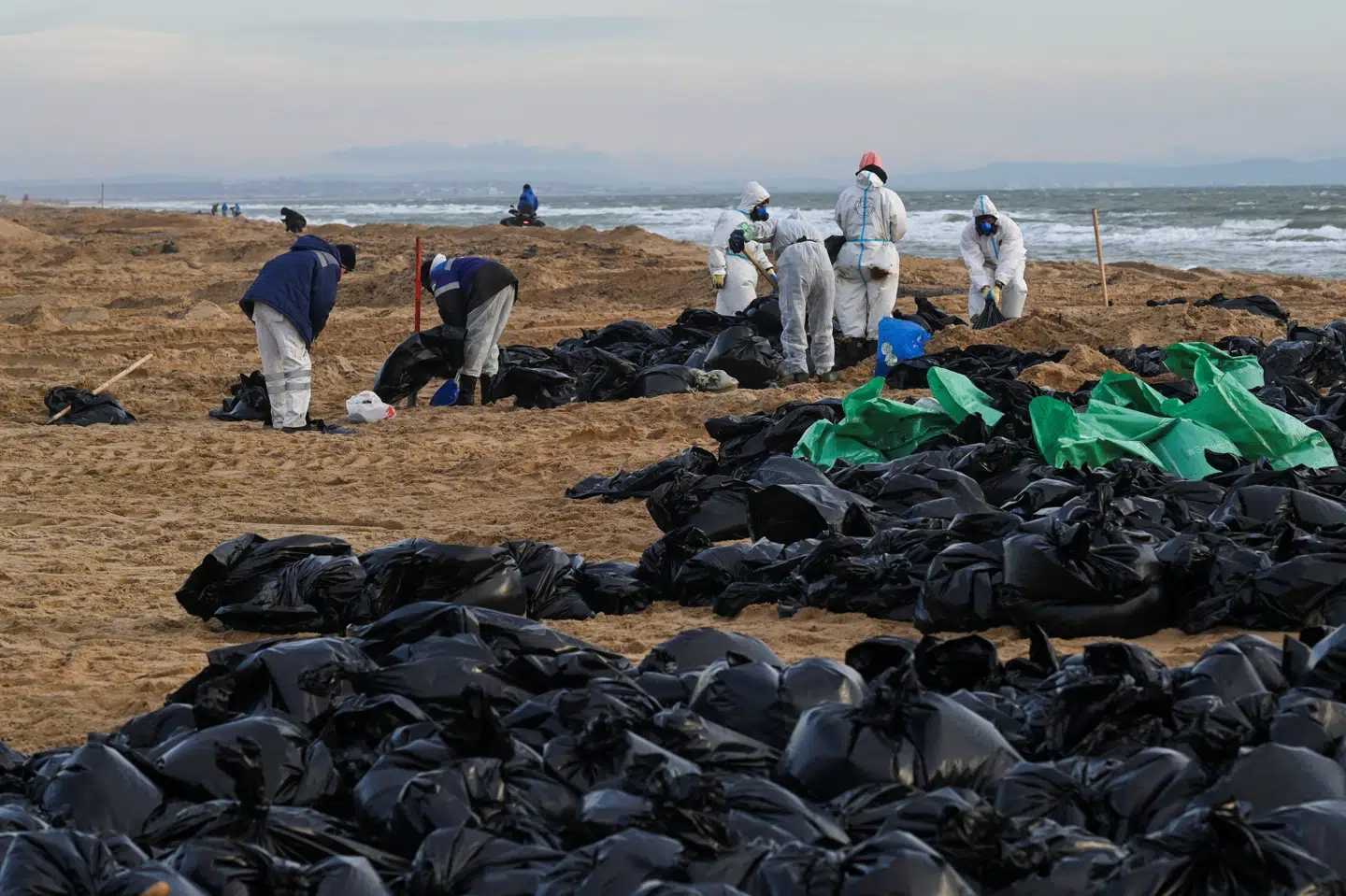 Det skønnes ifølge Tass, at omkring 130 kilometer af kysten i Krasnodar skal rengøres for olierester.