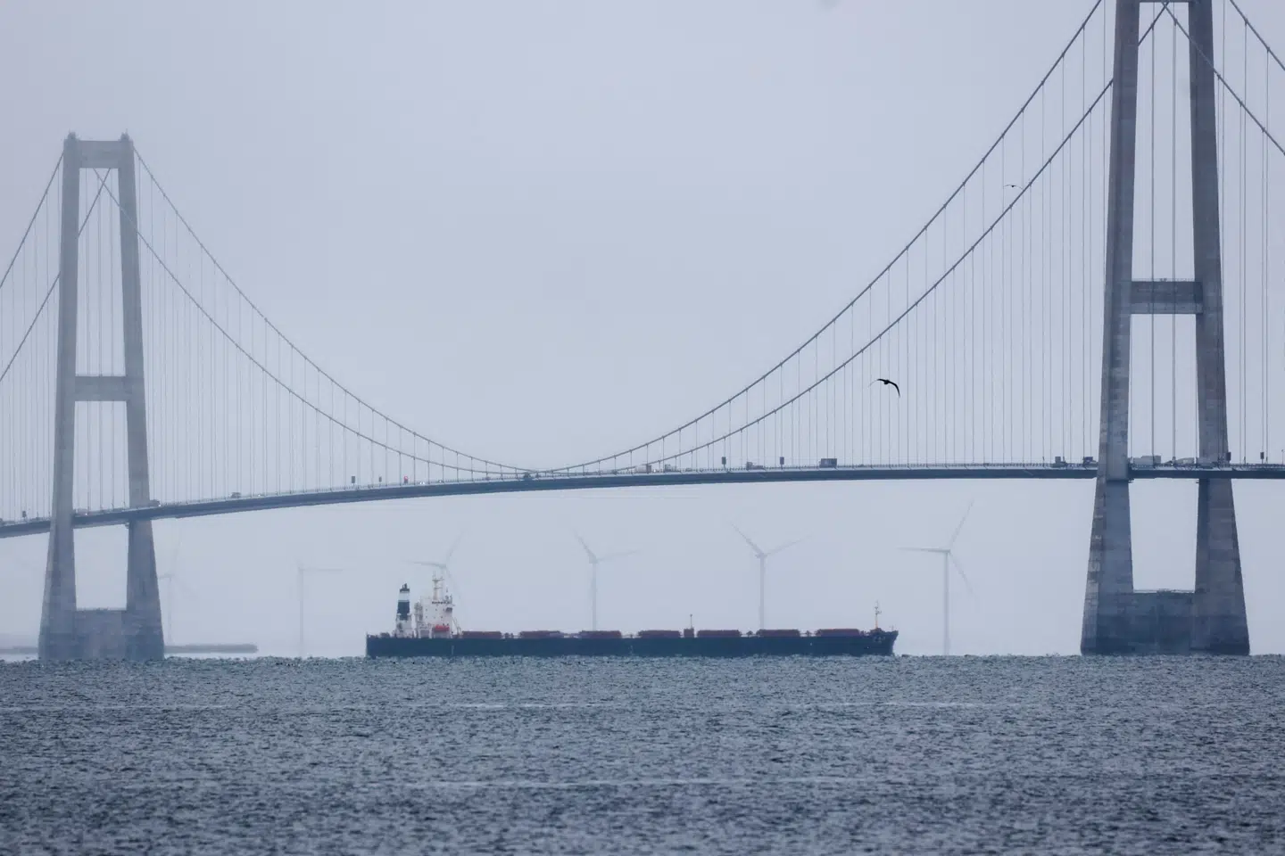 Arkivfoto: Yoruk Isik, Scanpix