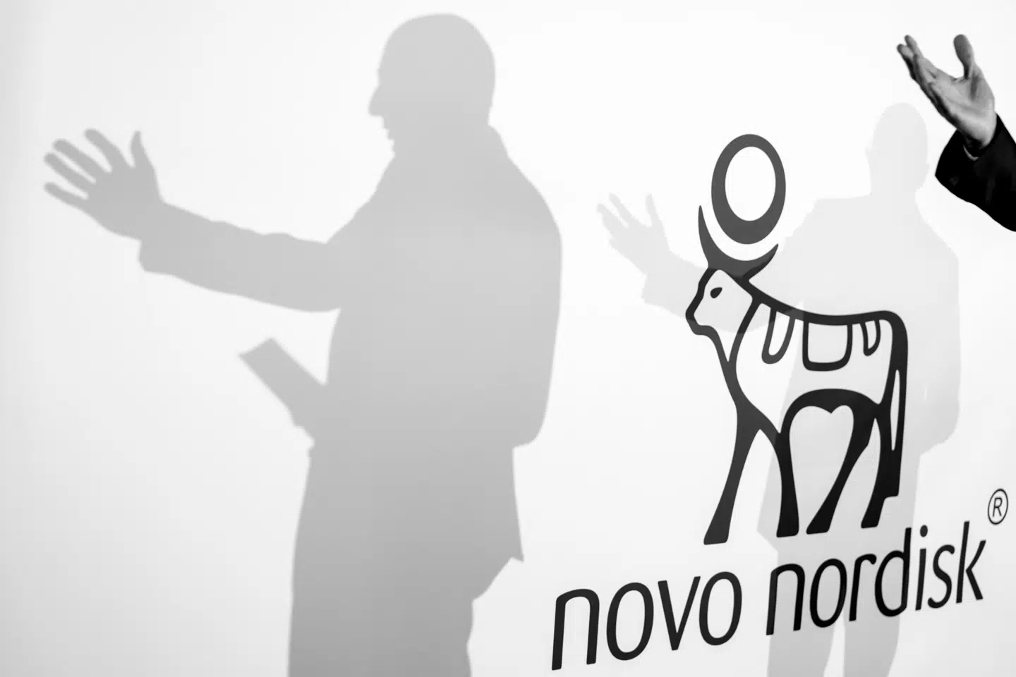 Sidste fredag mistede Novo-aktien en femtedel af sin værdi. Men aktien er allerede på vej opad igen.