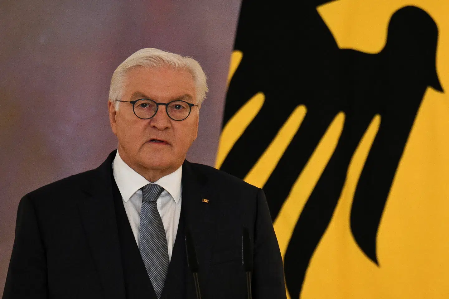 Præsident Frank-Walter Steinmeier har udskrevet valg på et pressemøde fredag formiddag.